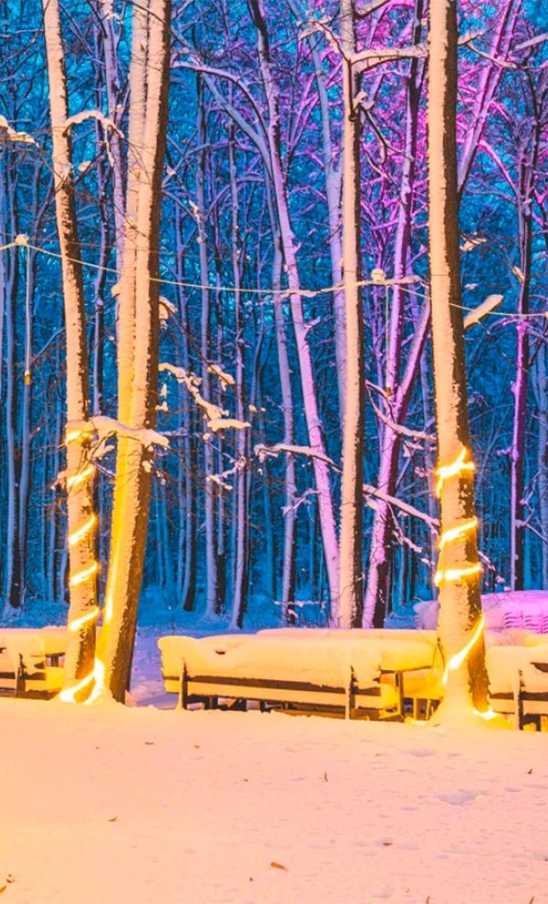 Locatiile TreeHouse - locatii de evenimente in aer liber 