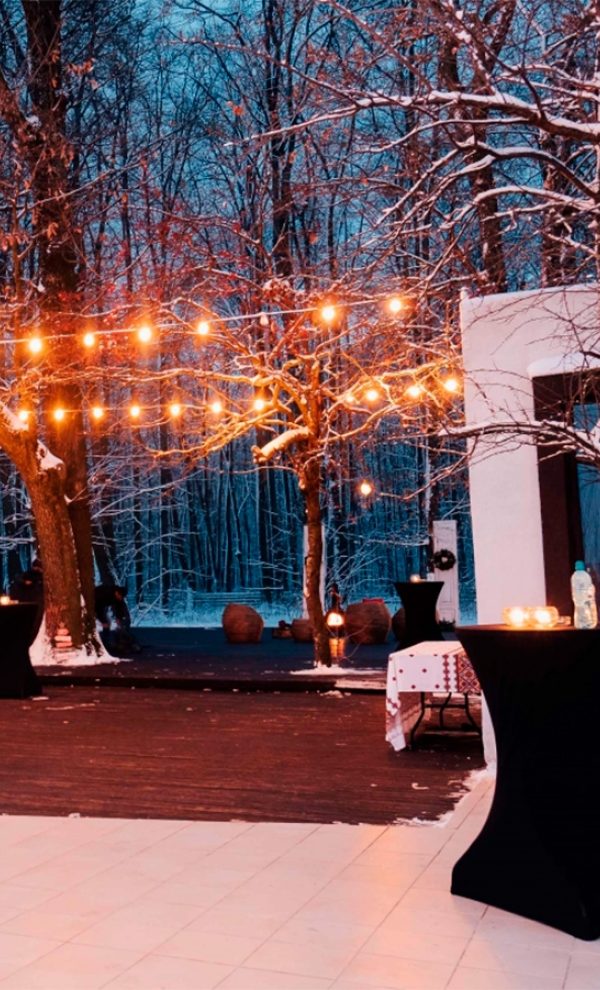 Locatiile TreeHouse - locatii de evenimente in aer liber 