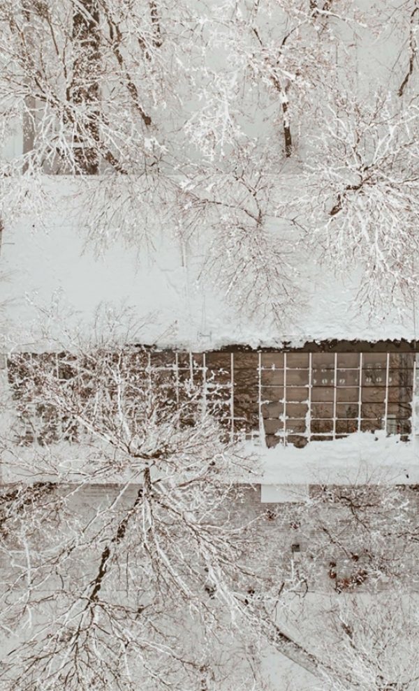 Locatiile TreeHouse - locatii de evenimente in aer liber 