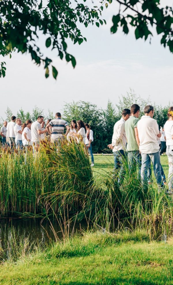 Locatiile TreeHouse - locatii de evenimente in aer liber 