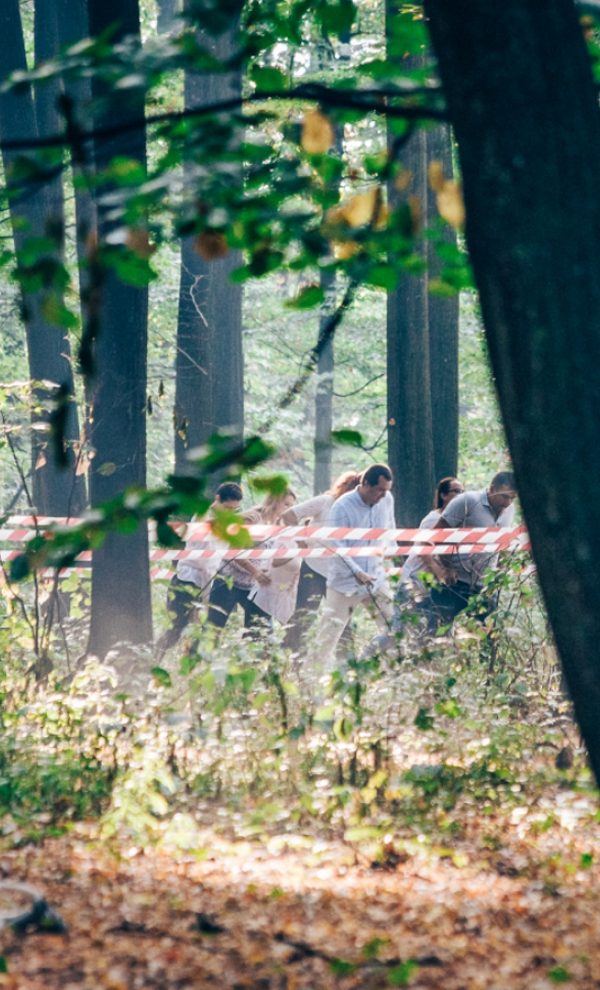 Locatiile TreeHouse - locatii de evenimente in aer liber 