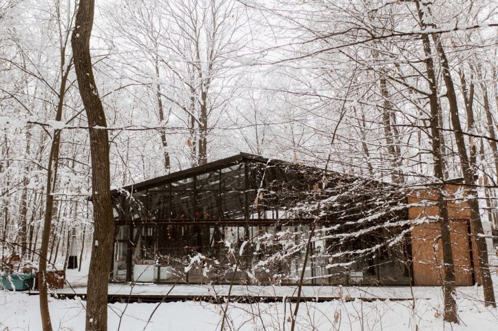Locatiile TreeHouse - locatii de evenimente companii in aer liber in natura la padure cu piscina