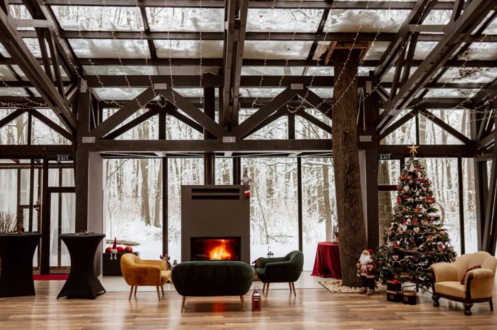 Locatiile TreeHouse - locatii de evenimente companii in aer liber in natura la padure cu piscina