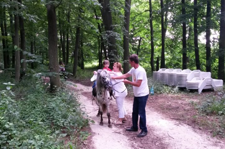 Locatiile TreeHouse - locatii de nunti in aer liber in natura - top locatii de nunta la padure-piscina