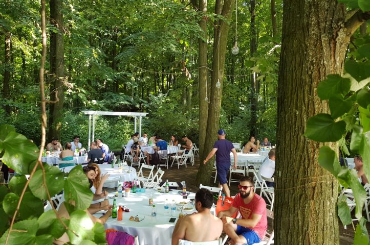 Locatiile TreeHouse - locatii de nunti in aer liber in natura - top locatii de nunta la padure-piscina