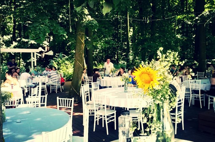 Locatiile TreeHouse - locatii de nunti in aer liber in natura - top locatii de nunta la padure-piscina