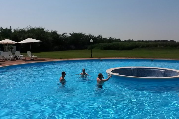 Locatiile TreeHouse - locatii de nunti in aer liber in natura - top locatii de nunta la padure-piscina