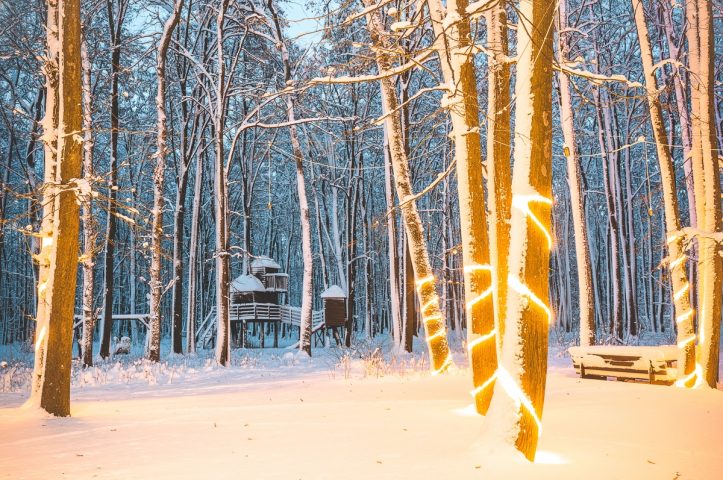 Locatiile TreeHouse - locatii de nunti in aer liber in natura - top locatii de nunta la padure-piscina