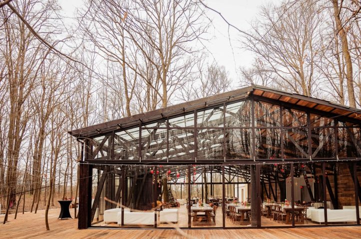Locatiile TreeHouse - locatii de nunti in aer liber in natura - top locatii de nunta la padure-piscina