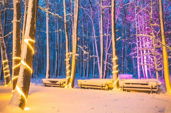 Locatiile TreeHouse - locatii de nunti in aer liber in natura - top locatii de nunta la padure-piscina