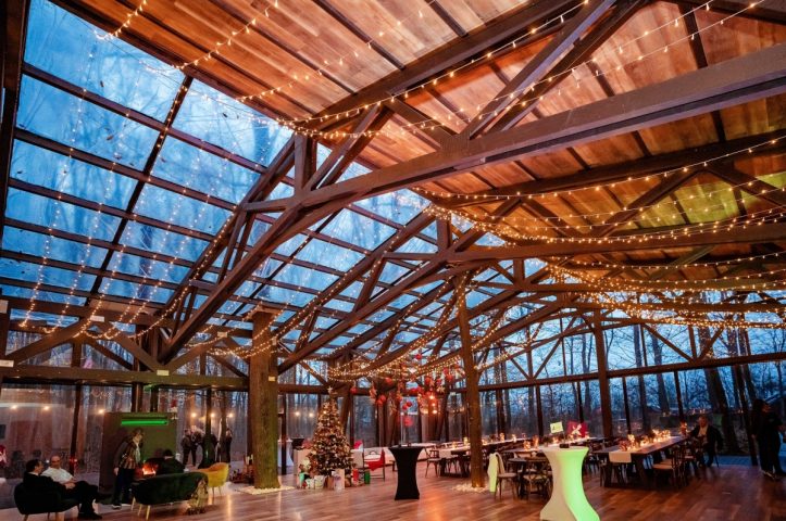 Locatiile TreeHouse - locatii de nunti in aer liber in natura - top locatii de nunta la padure-piscina