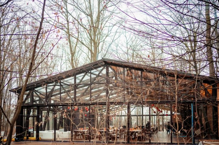 Locatiile TreeHouse - locatii de nunti in aer liber in natura - top locatii de nunta la padure-piscina