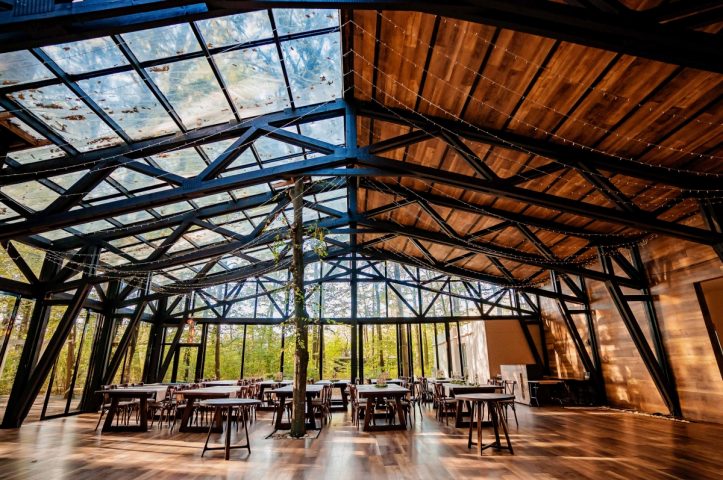 Locatiile TreeHouse - locatii de nunti in aer liber in natura - top locatii de nunta la padure-piscina