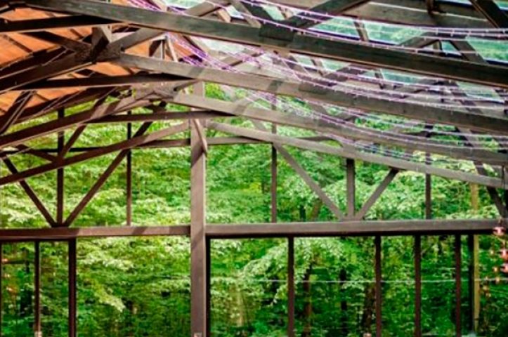 Locatiile TreeHouse - locatii de nunti in aer liber in natura - top locatii de nunta la padure-piscina