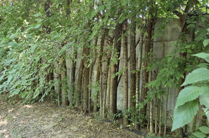 Locatiile TreeHouse - locatii de nunti in aer liber in natura - top locatii de nunta la padure-piscina