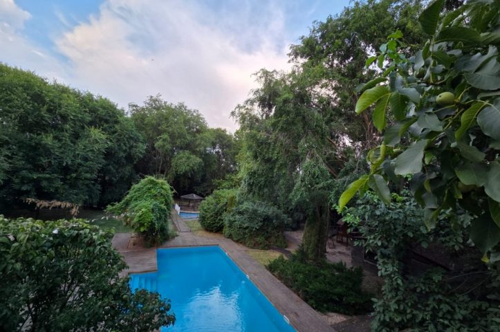 Locatiile TreeHouse - locatii de nunti in aer liber in natura - top locatii de nunta la padure-piscina