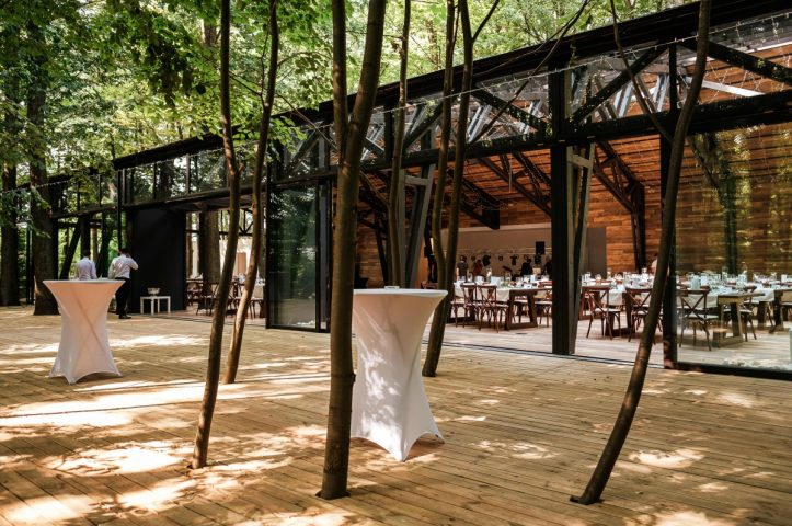 TreeHouse In the Woods locatie de evenimente in mijlocul padurii evenimente corporate 