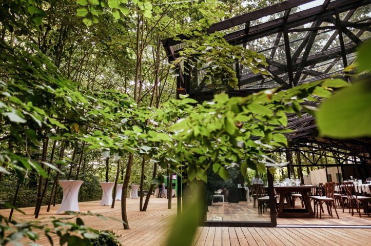 TreeHouse In the Woods locatie de evenimente in mijlocul padurii evenimente corporate 