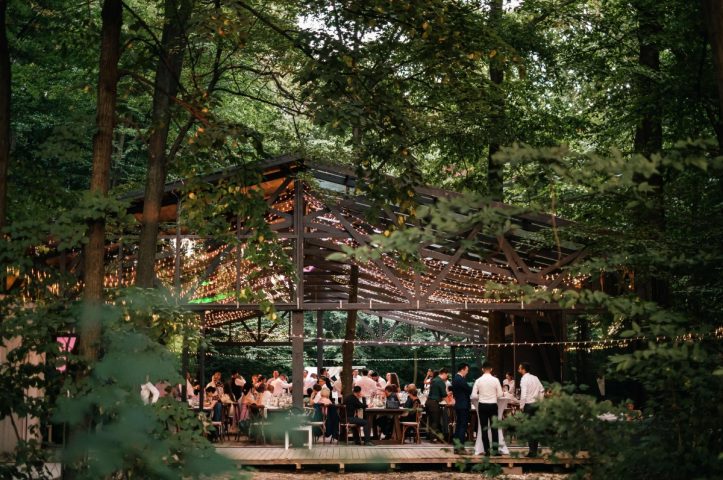TreeHouse In the Woods locatie de evenimente in mijlocul padurii evenimente corporate 