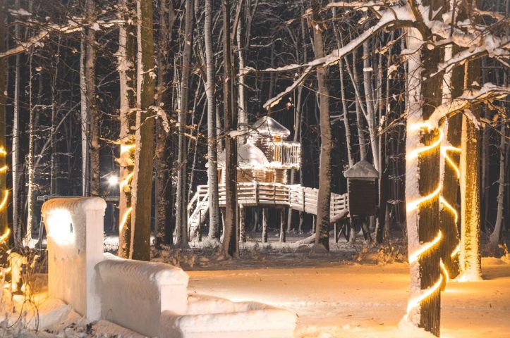 TreeHouse In the Woods locatie de evenimente in mijlocul padurii evenimente corporate 