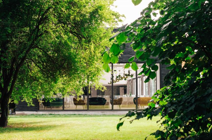 Locatiile TreeHouse - locatii de nunti in aer liber in natura - top locatii de nunta la padure-piscina