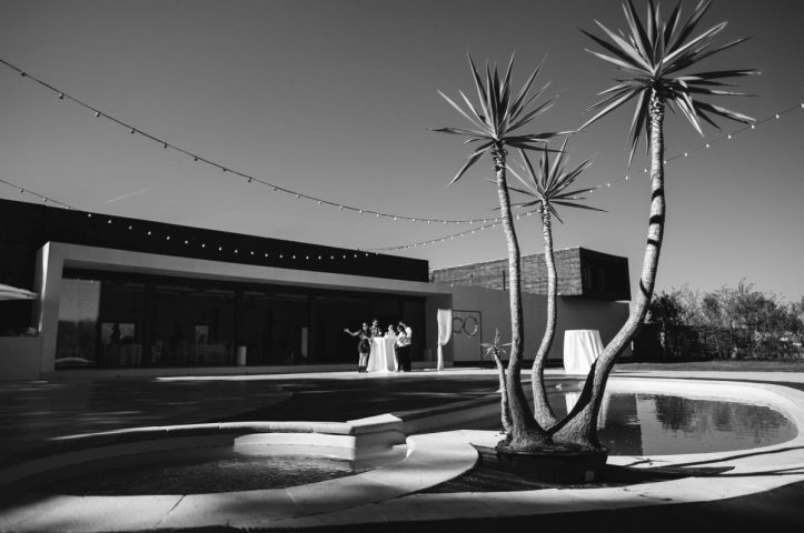 Locatiile TreeHouse - locatii de nunti in aer liber in natura - top locatii de nunta la padure-piscina