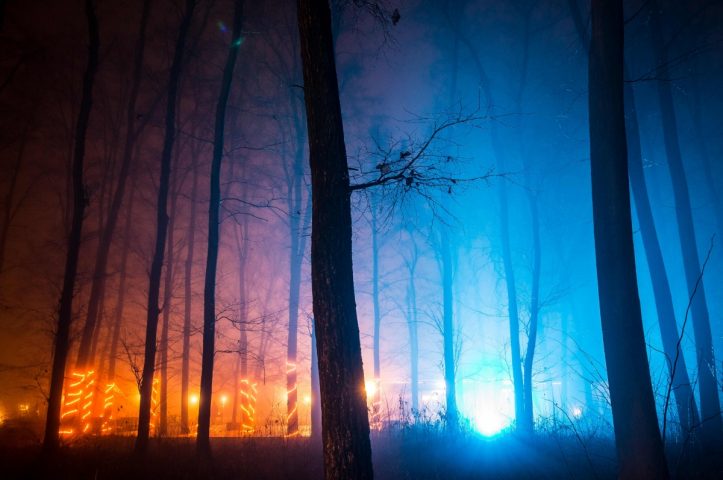 Locatiile TreeHouse - locatii de nunti in aer liber in natura - top locatii de nunta la padure-piscina