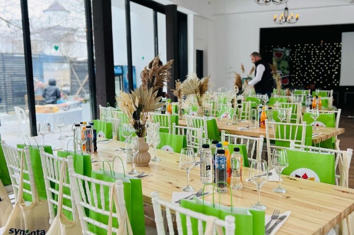 petrecere in aer liber