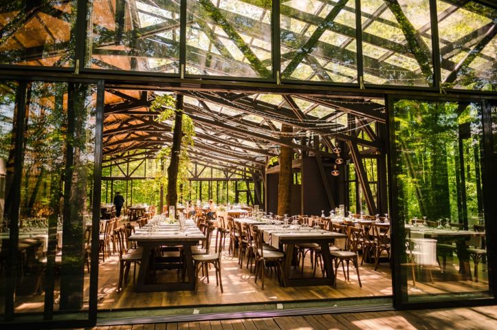 petrecere in aer liber