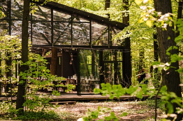 petrecere in aer liber