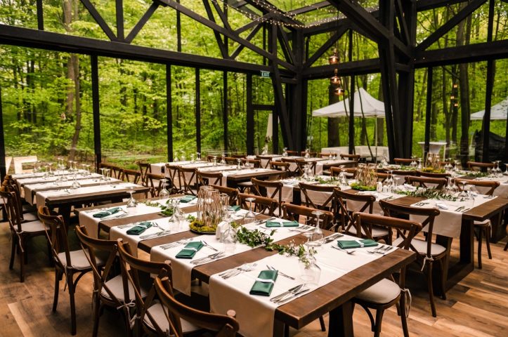 petrecere in aer liber