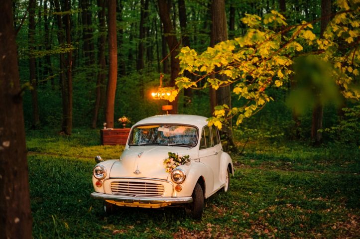 reambuilding in natura petrecere piscina 