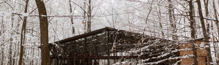 Locatiile TreeHouse - locatii de evenimente companii in aer liber in natura la padure cu piscina