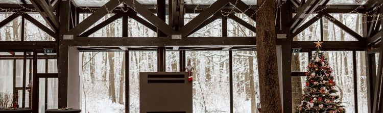 Locatiile TreeHouse - locatii de evenimente companii in aer liber in natura la padure cu piscina