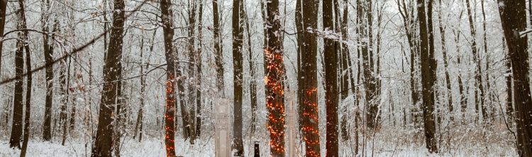 Locatiile TreeHouse - locatii de evenimente companii in aer liber in natura la padure cu piscina