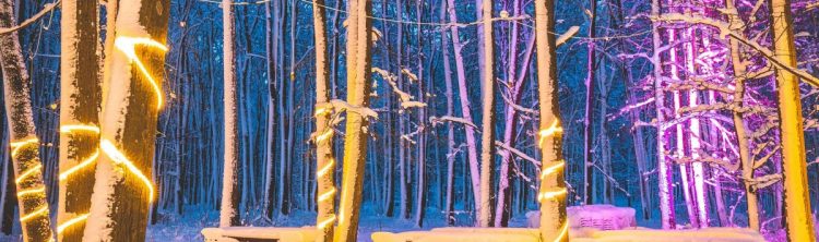 Locatiile TreeHouse - locatii de evenimente companii in aer liber in natura la padure cu piscina