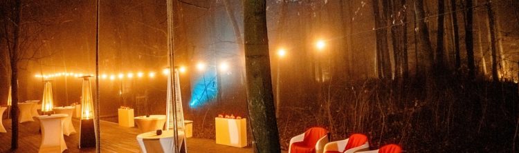 Locatiile TreeHouse - locatii de evenimente companii in aer liber in natura la padure cu piscina