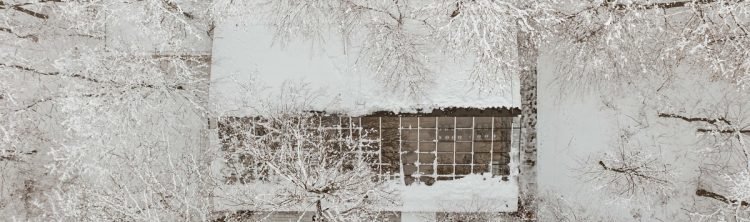 Locatiile TreeHouse - locatii de evenimente companii in aer liber in natura la padure cu piscina