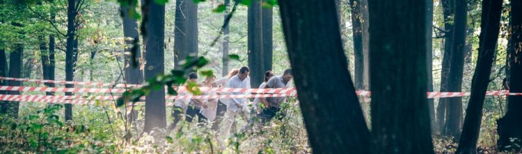 Locatiile TreeHouse - locatii de evenimente companii in aer liber in natura la padure cu piscina