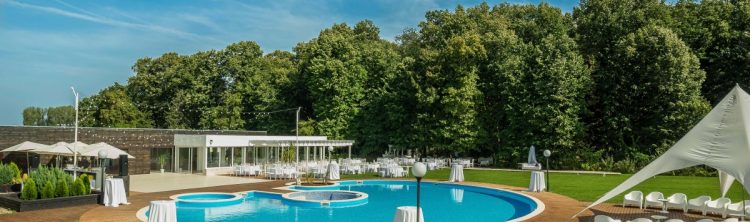 petrecere companie aer liber