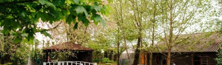 petrecere in aer liber