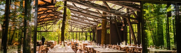 petrecere in aer liber