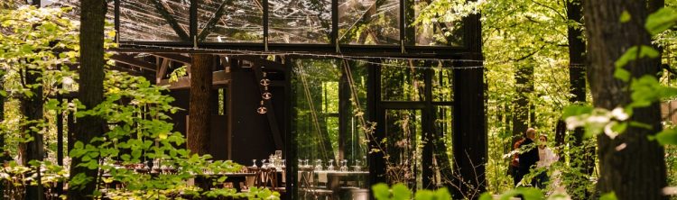 petrecere in aer liber