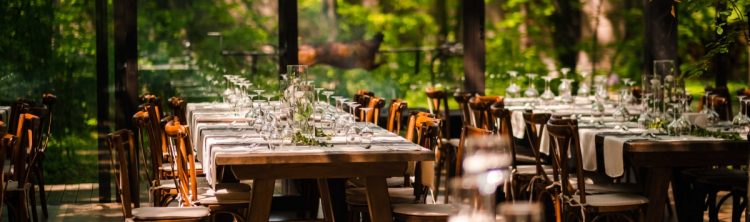 petrecere in aer liber