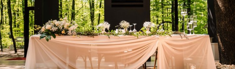 petrecere in aer liber