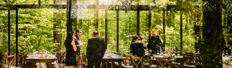 petrecere in aer liber