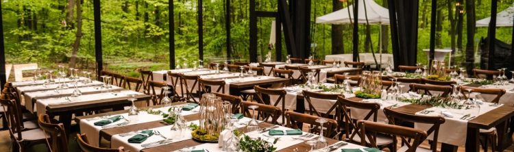 petrecere in aer liber