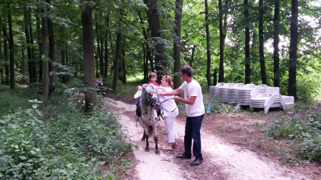 Locatiile TreeHouse - locatii de nunti in aer liber in natura - top locatii de nunta la padure-piscina