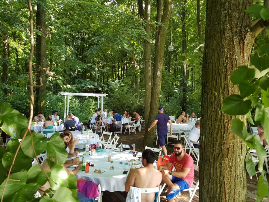 Locatiile TreeHouse - locatii de nunti in aer liber in natura - top locatii de nunta la padure-piscina