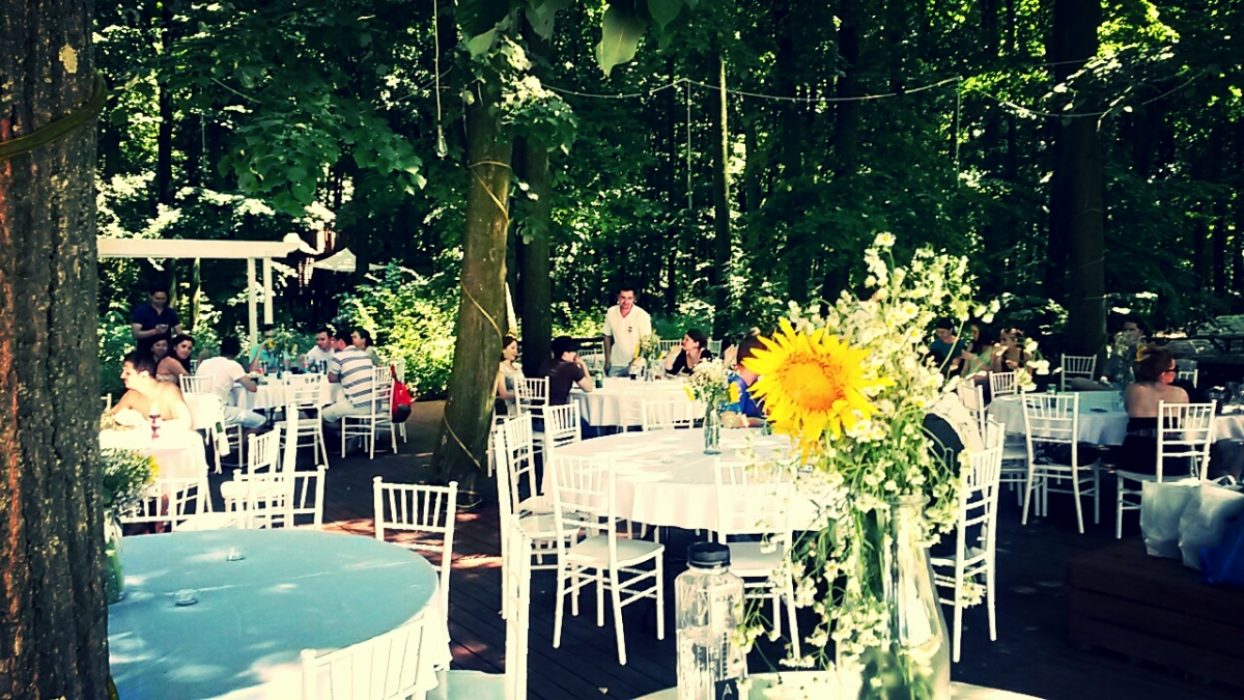 Locatiile TreeHouse - locatii de nunti in aer liber in natura - top locatii de nunta la padure-piscina